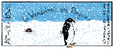 Im Wendekreis des Pinguins